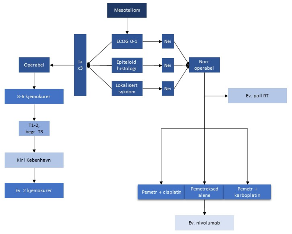 Figur 23 Algoritme for behandling av mesoteliom