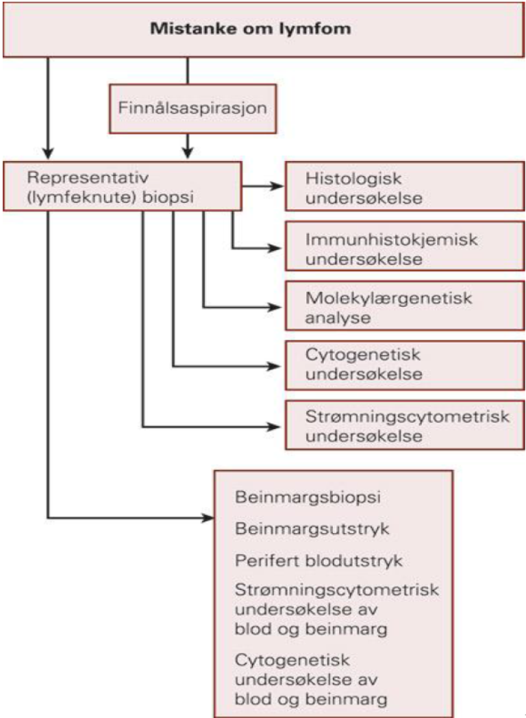 Mistanke om lymfom.png