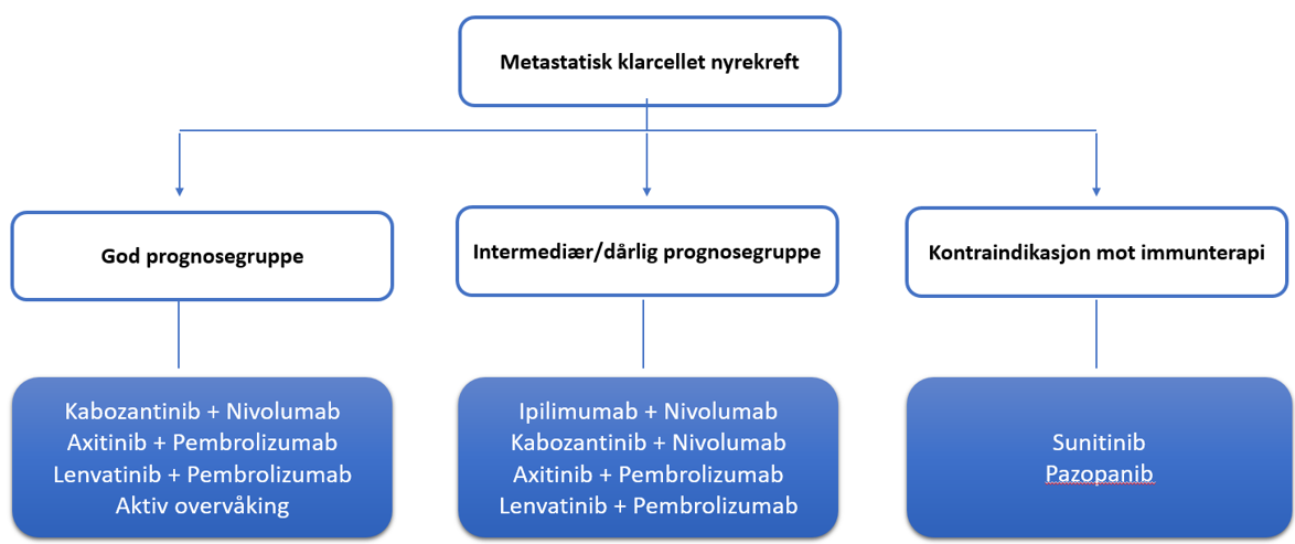Figur 9.2: Behandlingsanbefalinger første linje