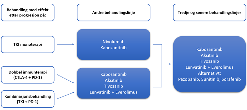 Figur 9.3: Oversikt over medikamenter som i studier har vist effekt i senere linjer. Egenprodusert 
