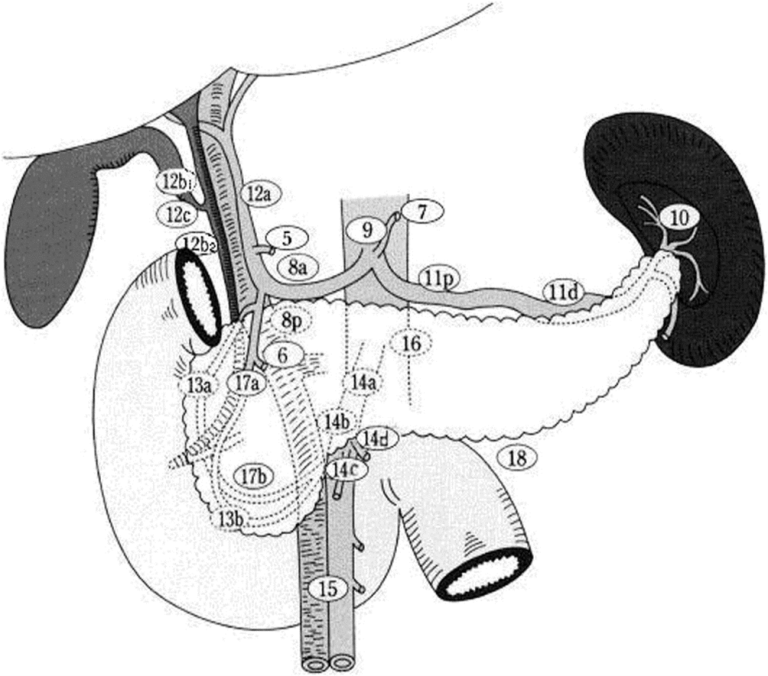 Figur 3: Lymfeknutestasjoner som dissekeres ved pancreasreseksjoner