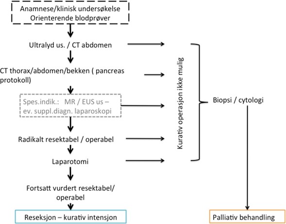 Utredningsalgoritme ved pancreaskreft