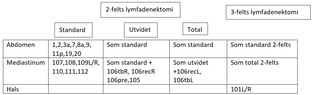 Spiserørskreft - Lymfadenektomi.png