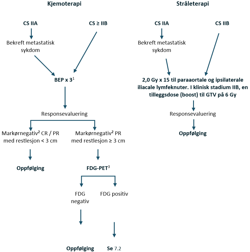 Testikkelkreft - flytskjema IV.png
