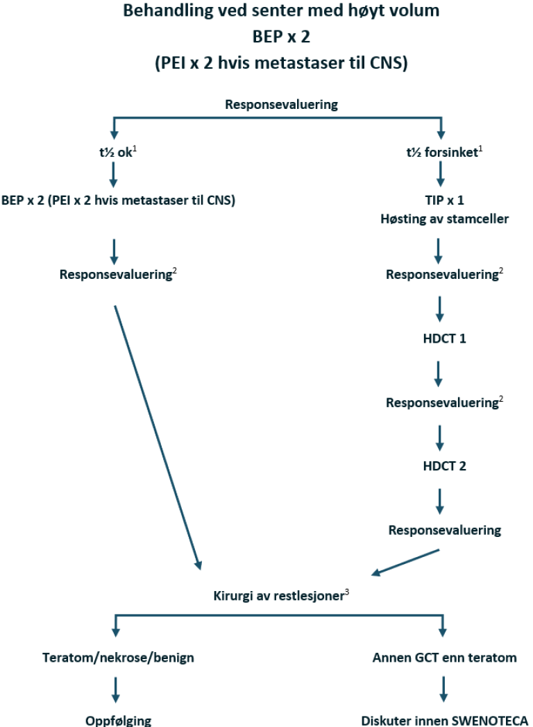 Flytskjema - Metastatisk non-seminom med dårlig prognose .png