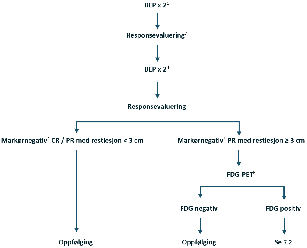Testikkelkreft - flytskjema V.png