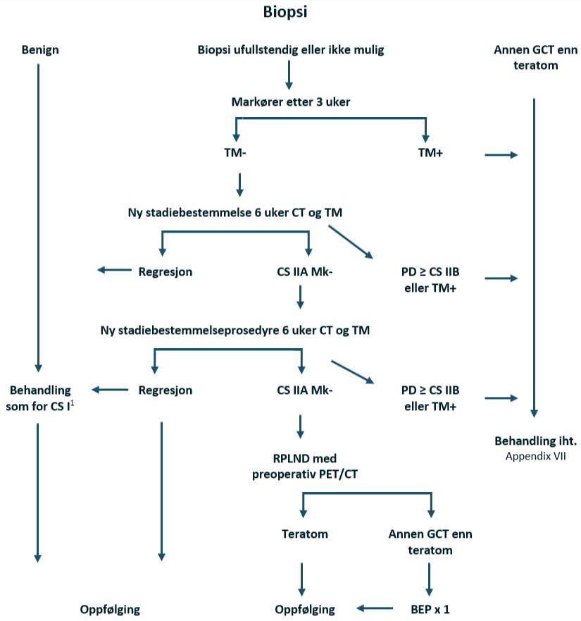 Testikkelkreft - flytskjema VI.png