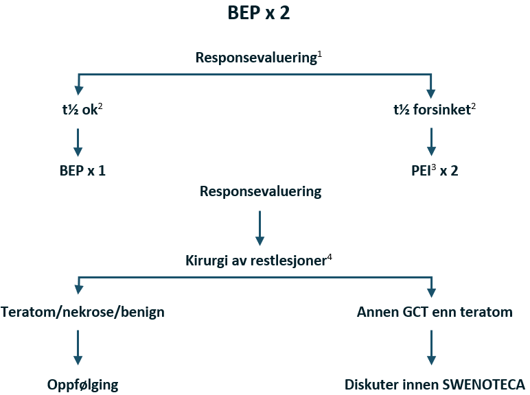 Flytskjema - Metastatisk non-seminom .png