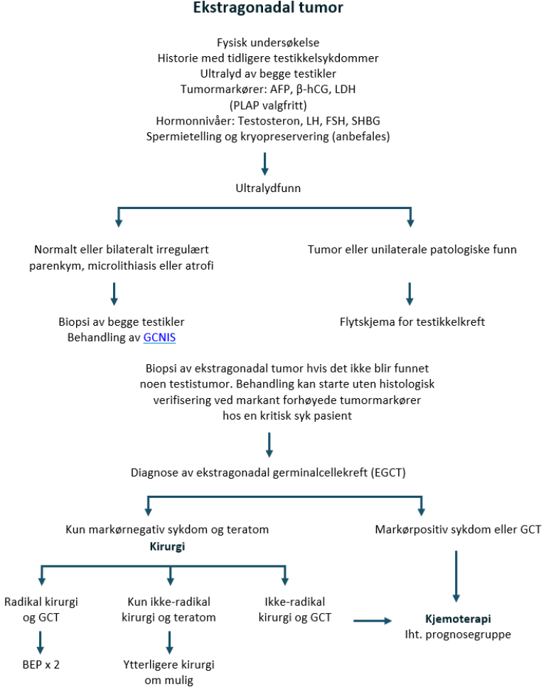 Flytskjema - Ekstragonadal germinalcellekreft (EGCT).png
