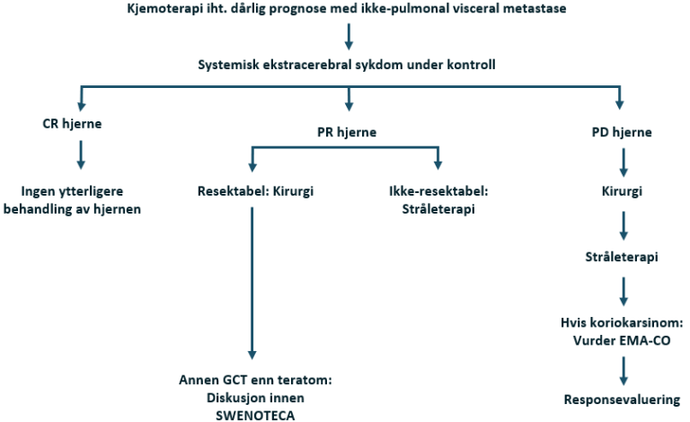 Flytskjema - Hjernemetastaser ved diagnose.png