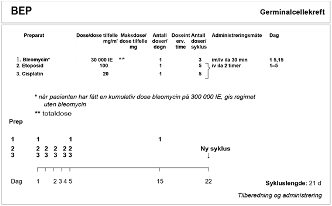 Testikkelkreft - Bep 1.png