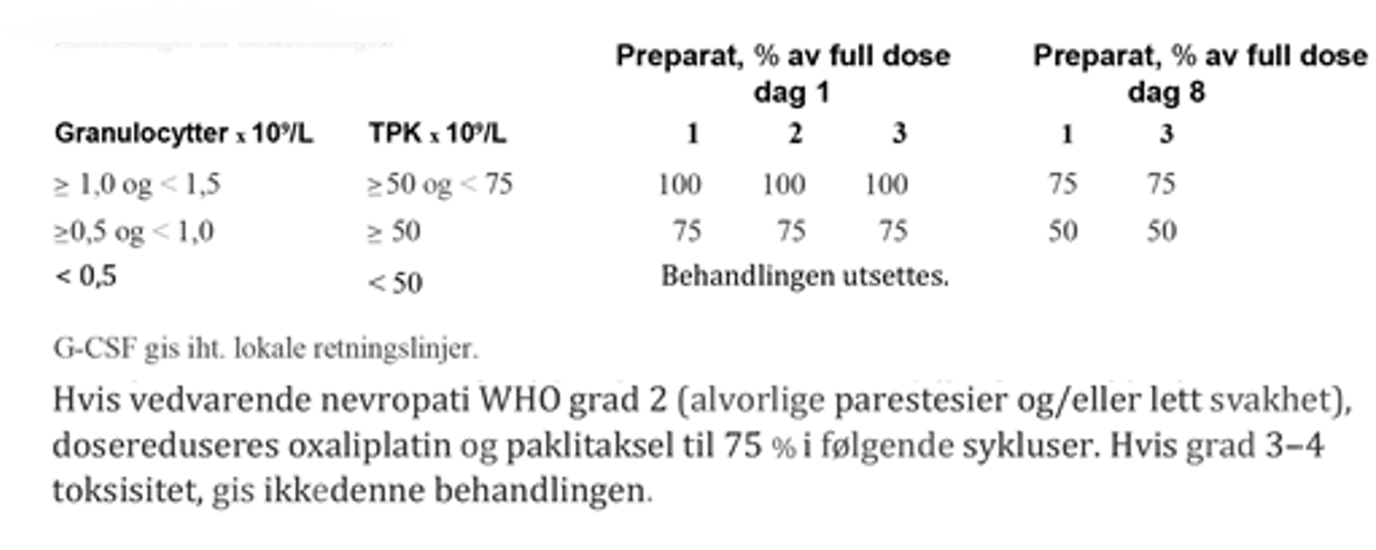 Testikkelkreft - GOP XXV 2.png