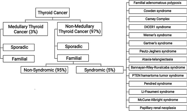 Bilde 2: Oversikt av subklassifisering arvelig thyroideakarsinom