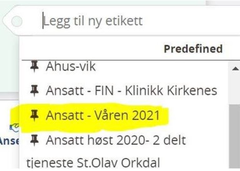 Ansatt - Våren 2021.jpg