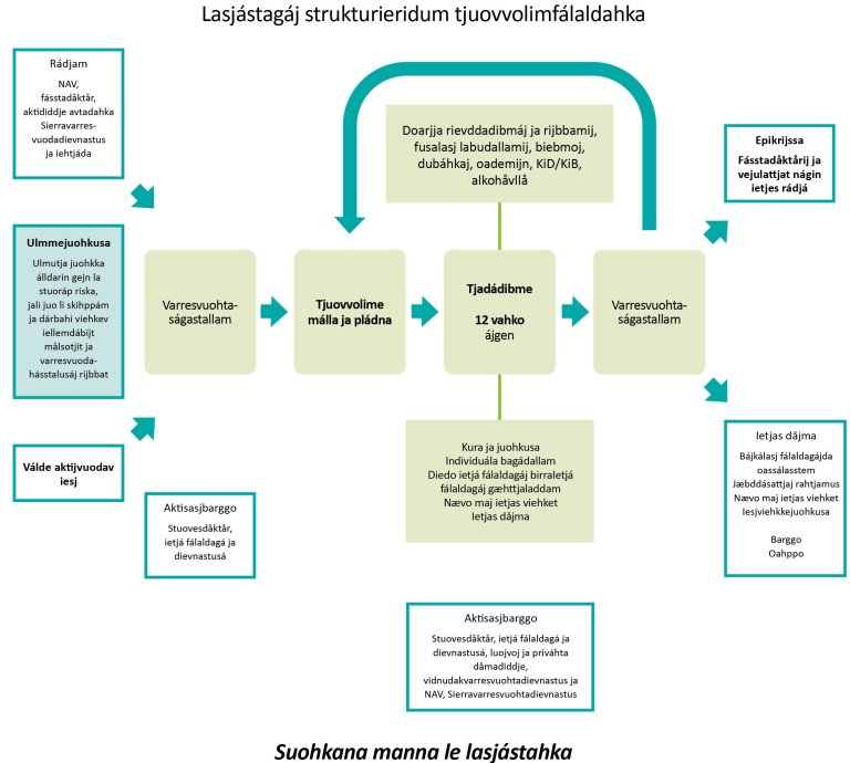 Gávna ietjat lasjástagáv. Suohkana manna le lasjástahka