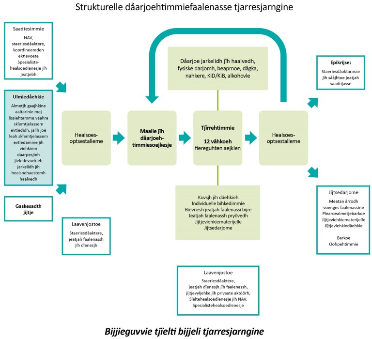 Figuvre. Strukturelle dåarjoehtimmiefaalenasse tjarresjarngine