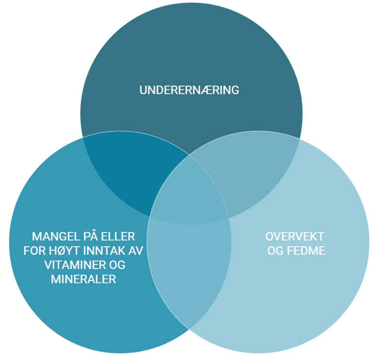 Tilstander relatert til feil- og underernæring hos voksne. Underernæring kan oppstå alene eller i kombinasjon med andre ernæringstilstander, som mangeltilstander, overvekt og fedme. Figuren er tilpasset og gjengitt med tillatelse fra Ingvild Paur.