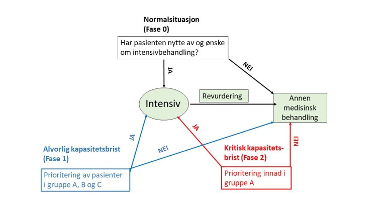 Flytskjema som viser vurderinger/arbeidsprosesser i de ulike fasene ved prioritering av intensivbehandling.